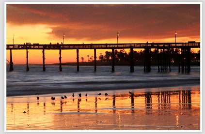 Golden Sunset and Shorebirds at Ventura Pier