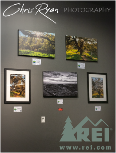 Oxnard REI Photography by Chris Ryan