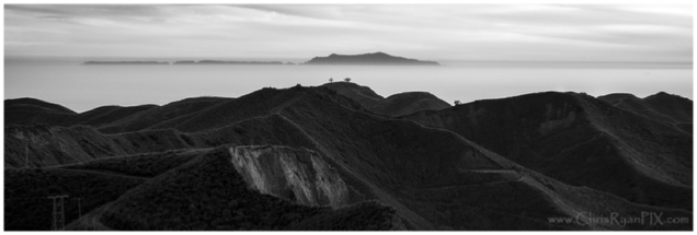 Photo of Two Trees in the Ventura hillsides with ocean in background