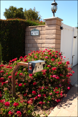 Real Estate Photo of gated entrance with flowers