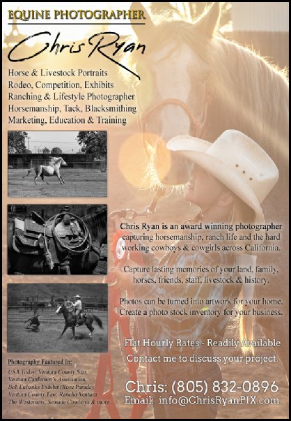 Equine Photography Services Flyer (ChrisRyanPIX)