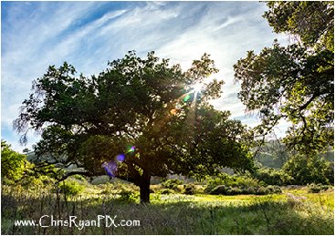 Nature Photography at Ventura Land Trust by Chris Ryan
