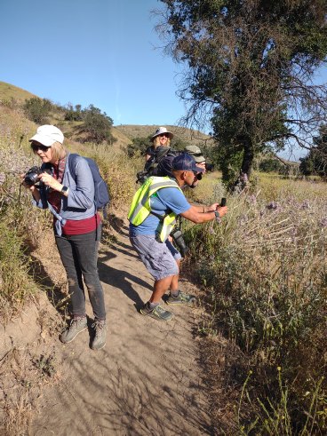Ventura Hiking Photo Tours & Photography Lessons