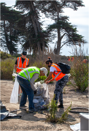 Event Photograph of Coastal Clean Up with volunteers (ChrisRyanPIX)
